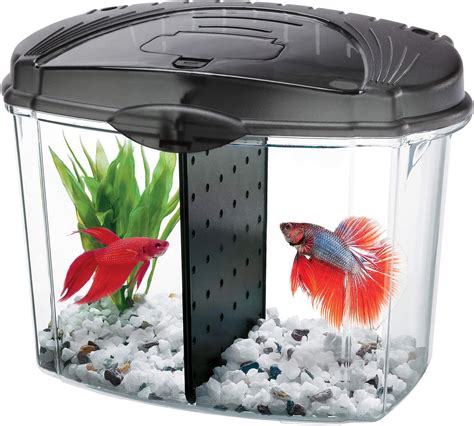 10 gallon betta aquarium|betta fish tank starter kit.